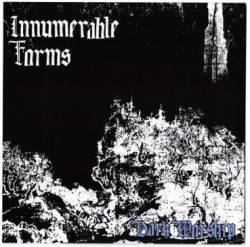 Innumerable Forms : Dark Worship
